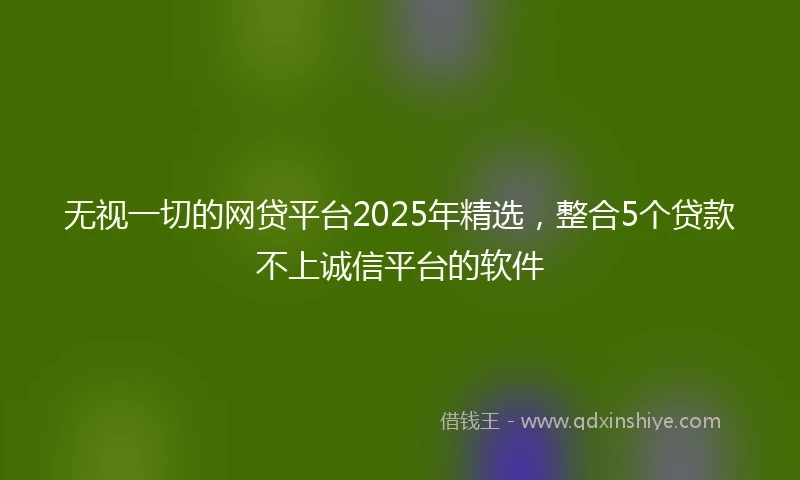 无视一切的网贷平台2025年精选，整合5个贷款不上诚信平台的软件