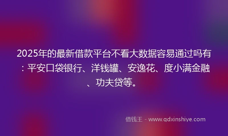 2025年的最新借款平台不看大数据容易通过吗有：平安口袋银行、洋钱罐、安逸花、度小满金融、功夫贷等。