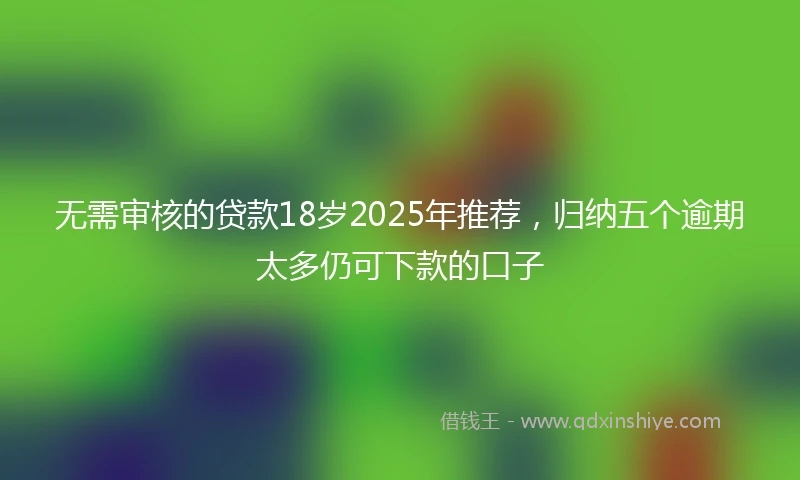 无需审核的贷款18岁2025年推荐，归纳五个逾期太多仍可下款的口子