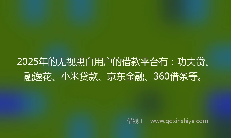 2025年的无视黑白用户的借款平台有：功夫贷、融逸花、小米贷款、京东金融、360借条等。