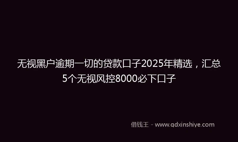 无视黑户逾期一切的贷款口子2025年精选，汇总5个无视风控8000必下口子