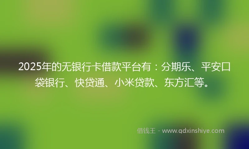 2025年的无银行卡借款平台有：分期乐、平安口袋银行、快贷通、小米贷款、东方汇等。