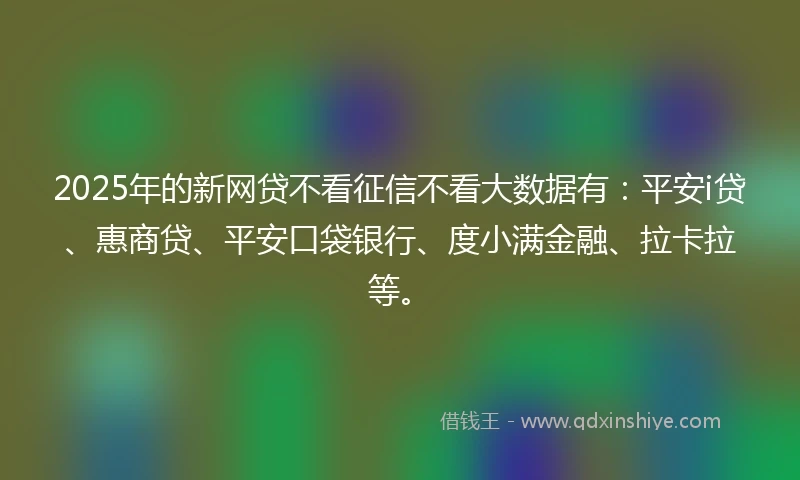 2025年的新网贷不看征信不看大数据有：平安i贷、惠商贷、平安口袋银行、度小满金融、拉卡拉等。