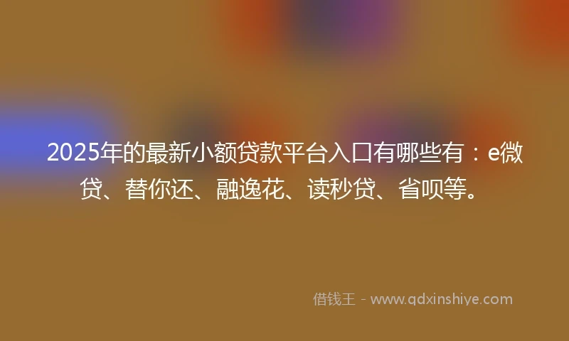 2025年的最新小额贷款平台入口有哪些有：e微贷、替你还、融逸花、读秒贷、省呗等。