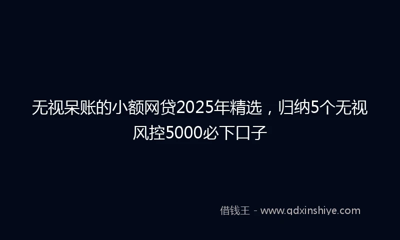 无视呆账的小额网贷2025年精选，归纳5个无视风控5000必下口子
