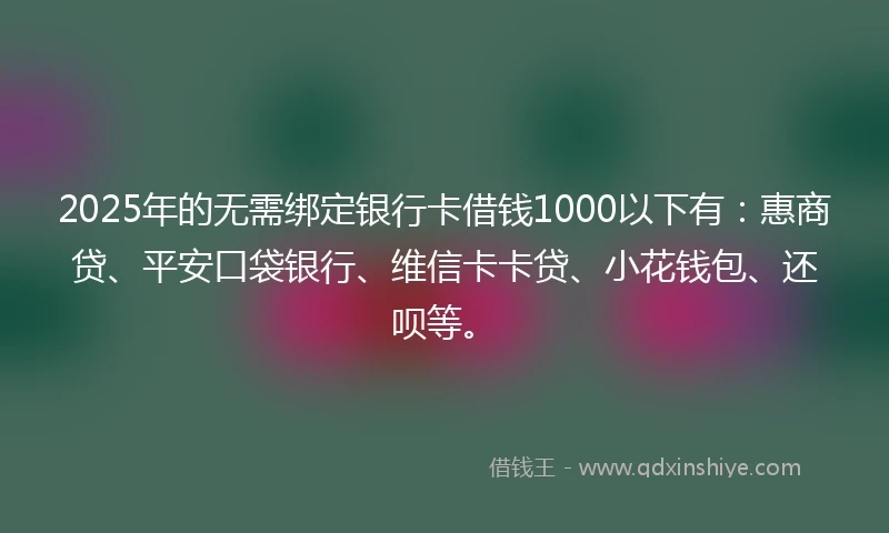 2025年的无需绑定银行卡借钱1000以下有：惠商贷、平安口袋银行、维信卡卡贷、小花钱包、还呗等。
