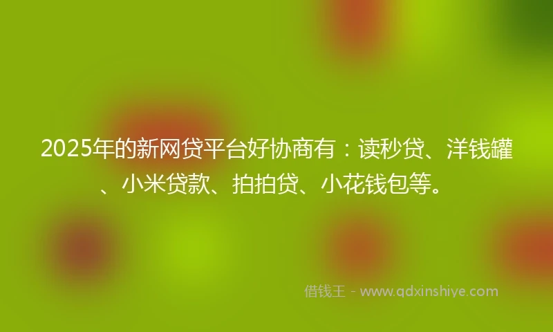 2025年的新网贷平台好协商有：读秒贷、洋钱罐、小米贷款、拍拍贷、小花钱包等。