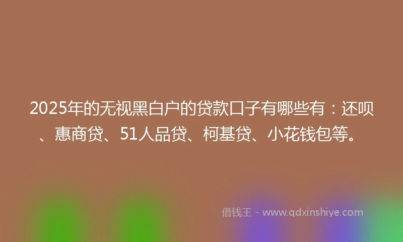 2025年的无视黑白户的贷款口子有哪些有:还呗、惠商贷、51人品贷、柯基贷、小花钱包等。