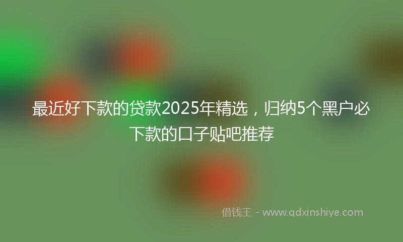 最近好下款的贷款2025年精选,归纳5个黑户必下款的口子贴吧推荐