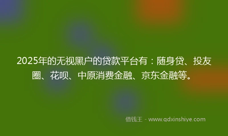 2025年的无视黑户的贷款平台有：随身贷、投友圈、花呗、中原消费金融、京东金融等。