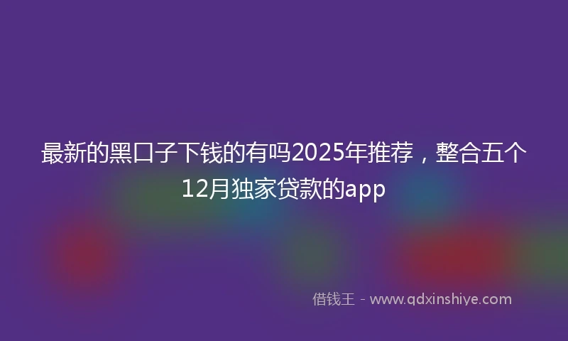 最新的黑口子下钱的有吗2025年推荐，整合五个12月独家贷款的app