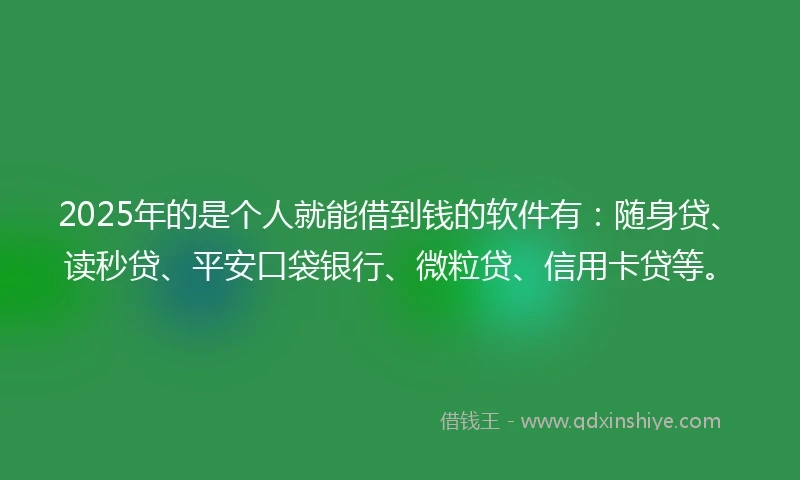 2025年的是个人就能借到钱的软件有：随身贷、读秒贷、平安口袋银行、微粒贷、信用卡贷等。