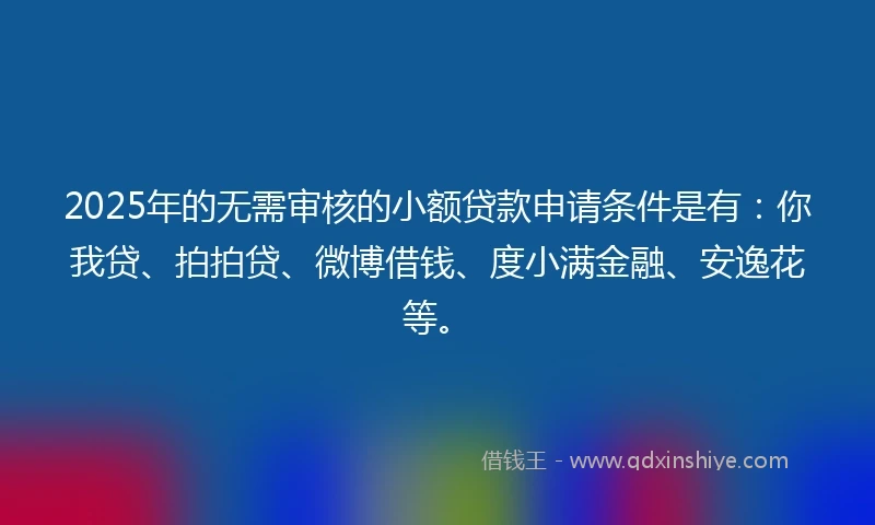2025年的无需审核的小额贷款申请条件是有：你我贷、拍拍贷、微博借钱、度小满金融、安逸花等。