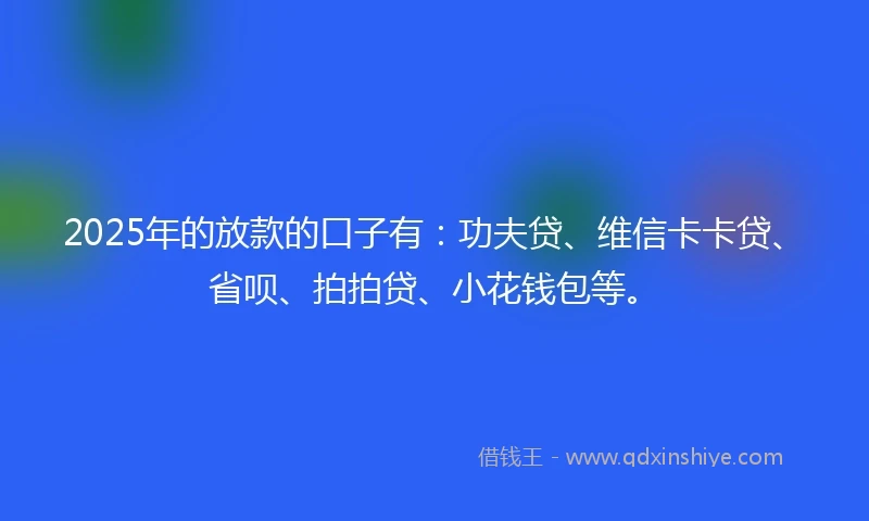 2025年的放款的口子有：功夫贷、维信卡卡贷、省呗、拍拍贷、小花钱包等。