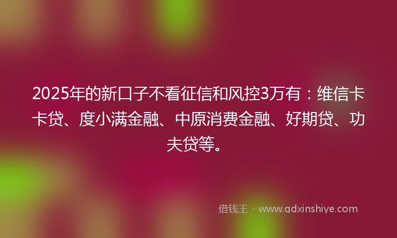 2025年的新口子不看征信和风控3万有：维信卡卡贷、度小满金融、中原消费金融、好期贷、功夫贷等。