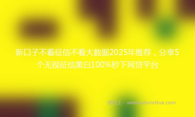 新口子不看征信不看大数据2025年推荐，分享5个无视征信黑白100%秒下网贷平台