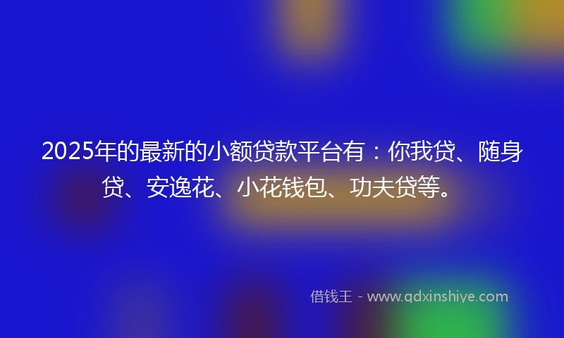 2025年的最新的小额贷款平台有：你我贷、随身贷、安逸花、小花钱包、功夫贷等。
