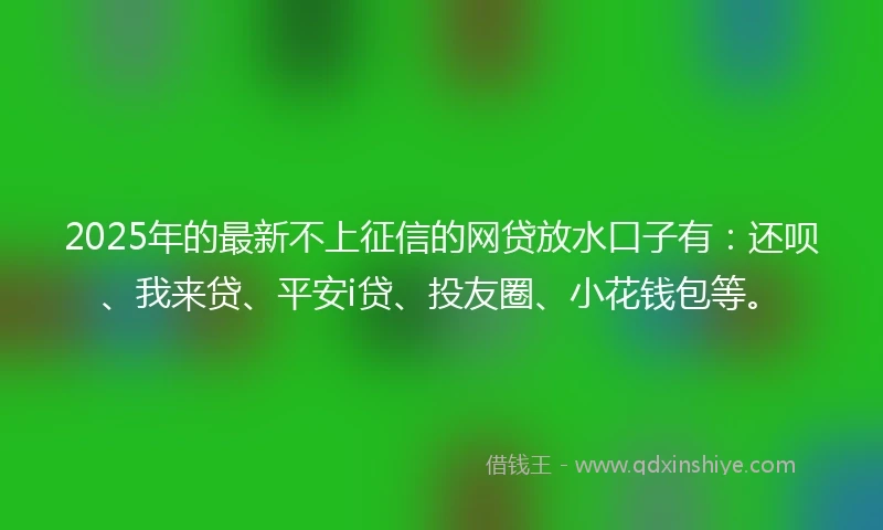 2025年的最新不上征信的网贷放水口子有：还呗、我来贷、平安i贷、投友圈、小花钱包等。