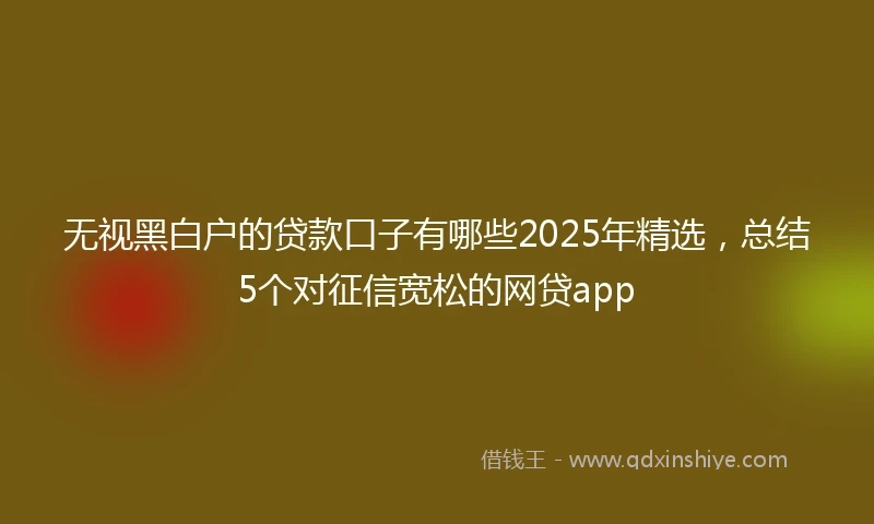 无视黑白户的贷款口子有哪些2025年精选，总结5个对征信宽松的网贷app