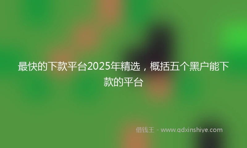 最快的下款平台2025年精选，概括五个黑户能下款的平台
