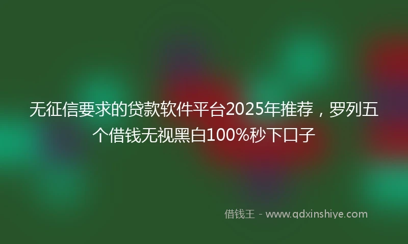 无征信要求的贷款软件平台2025年推荐，罗列五个借钱无视黑白100%秒下口子