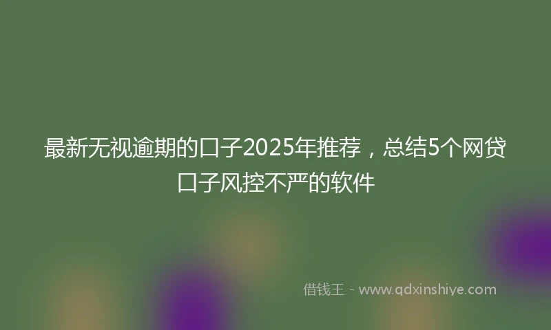 最新无视逾期的口子2025年推荐，总结5个网贷口子风控不严的软件
