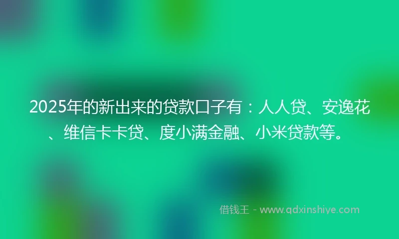 2025年的新出来的贷款口子有:人人贷、安逸花、维信卡卡贷、度小满金融、小米贷款等。