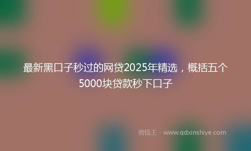 最新黑口子秒过的网贷2025年精选，概括五个5000块贷款秒下口子