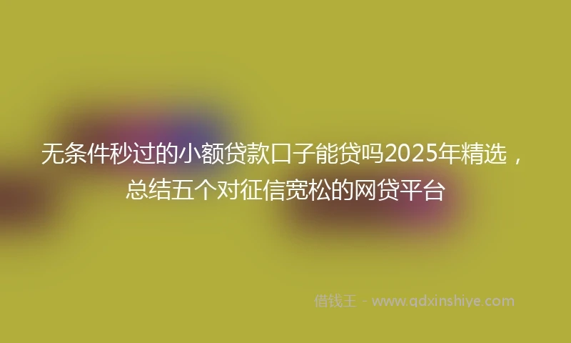 无条件秒过的小额贷款口子能贷吗2025年精选，总结五个对征信宽松的网贷平台