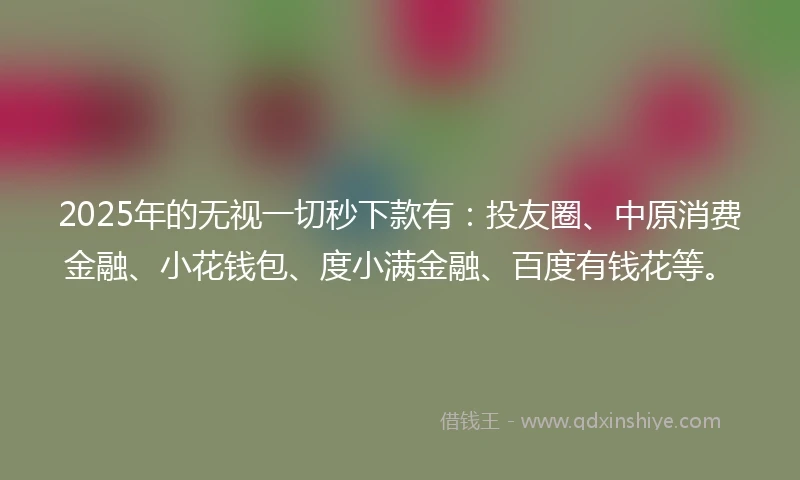 2025年的无视一切秒下款有：投友圈、中原消费金融、小花钱包、度小满金融、百度有钱花等。