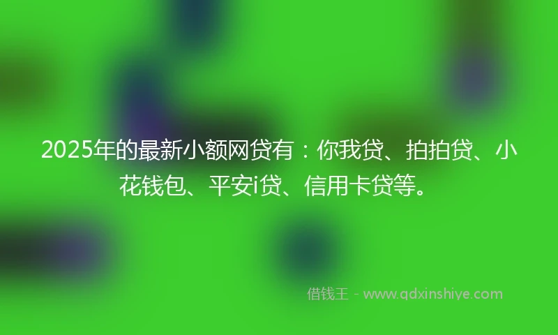 2025年的最新小额网贷有：你我贷、拍拍贷、小花钱包、平安i贷、信用卡贷等。