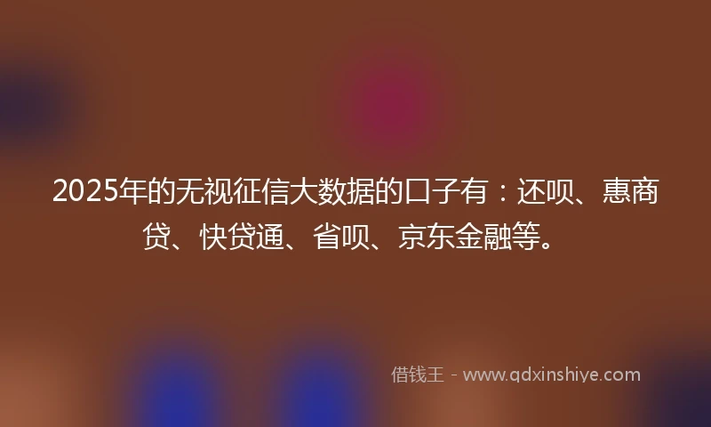 2025年的无视征信大数据的口子有：还呗、惠商贷、快贷通、省呗、京东金融等。