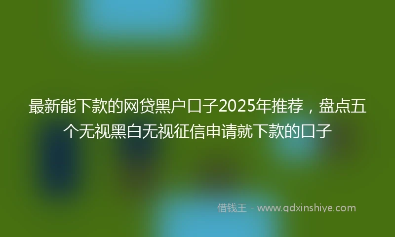 最新能下款的网贷黑户口子2025年推荐，盘点五个无视黑白无视征信申请就下款的口子