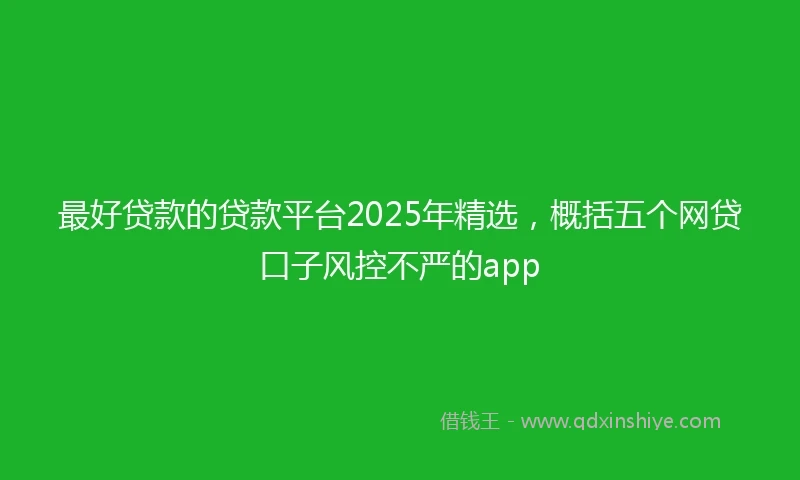 最好贷款的贷款平台2025年精选，概括五个网贷口子风控不严的app