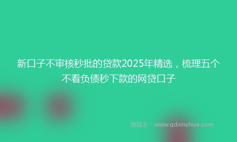 新口子不审核秒批的贷款2025年精选，梳理五个不看负债秒下款的网贷口子