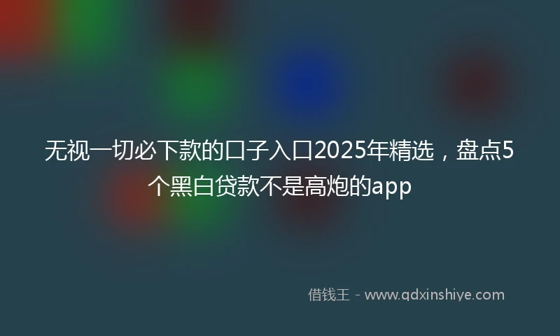 无视一切必下款的口子入口2025年精选，盘点5个黑白贷款不是高炮的app
