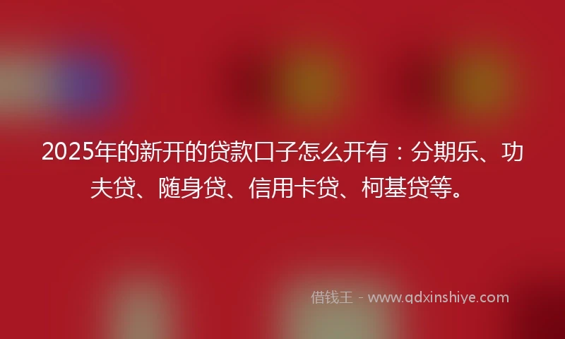 2025年的新开的贷款口子怎么开有：分期乐、功夫贷、随身贷、信用卡贷、柯基贷等。