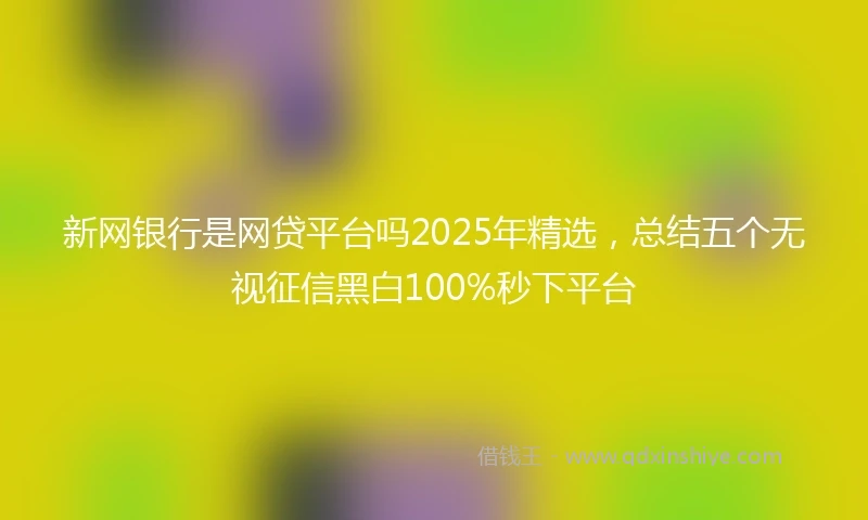 新网银行是网贷平台吗2025年精选，总结五个无视征信黑白100%秒下平台