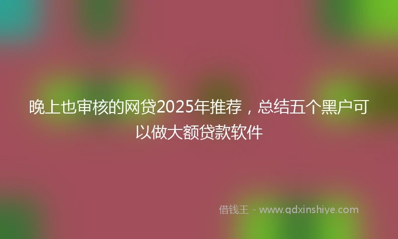 晚上也审核的网贷2025年推荐，总结五个黑户可以做大额贷款软件