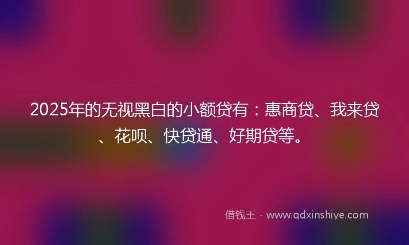 2025年的无视黑白的小额贷有：惠商贷、我来贷、花呗、快贷通、好期贷等。