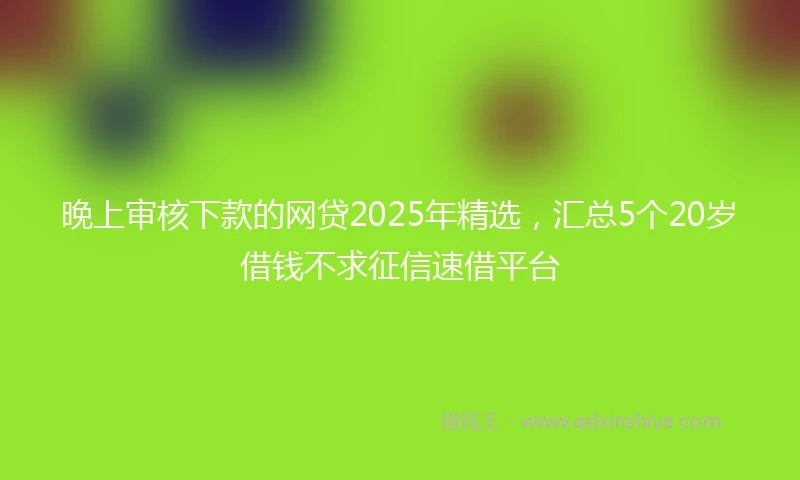 晚上审核下款的网贷2025年精选，汇总5个20岁借钱不求征信速借平台