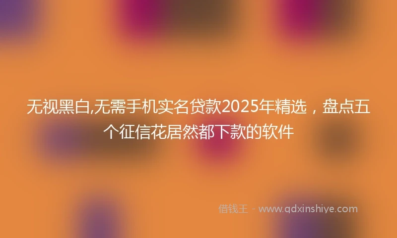 无视黑白,无需手机实名贷款2025年精选，盘点五个征信花居然都下款的软件