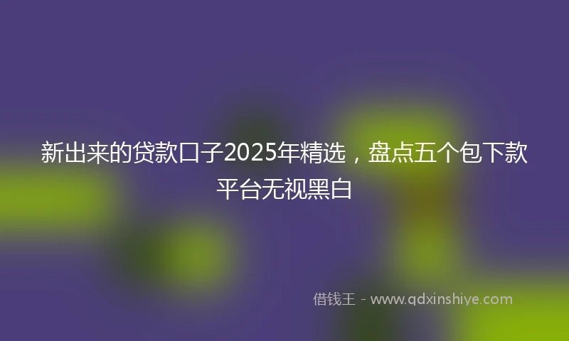 新出来的贷款口子2025年精选，盘点五个包下款平台无视黑白