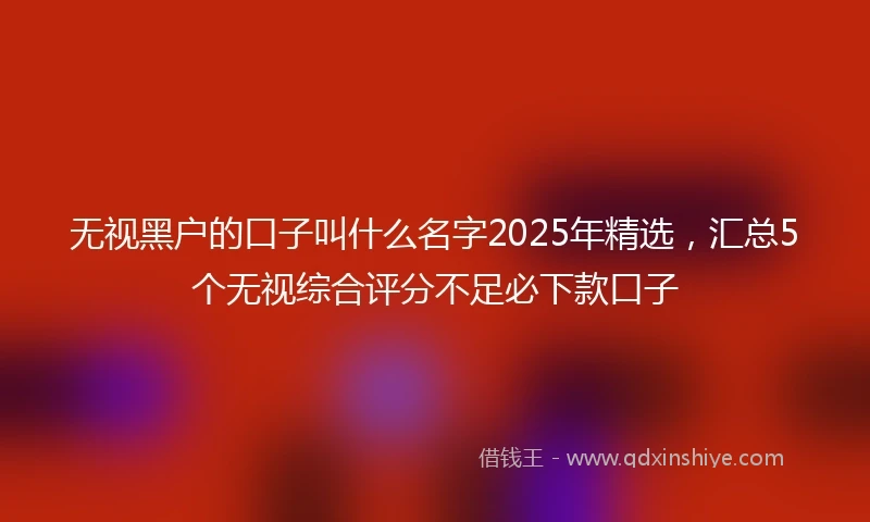 无视黑户的口子叫什么名字2025年精选，汇总5个无视综合评分不足必下款口子