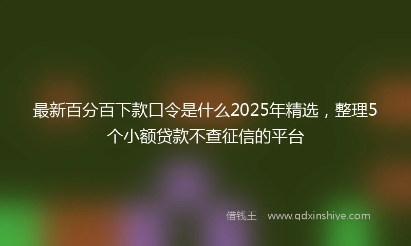 最新百分百下款口令是什么2025年精选，整理5个小额贷款不查征信的平台