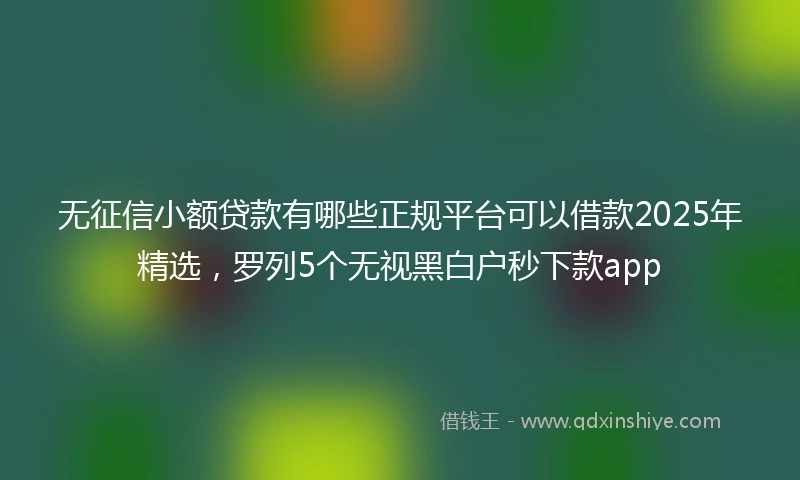 无征信小额贷款有哪些正规平台可以借款2025年精选，罗列5个无视黑白户秒下款app
