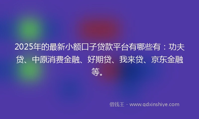 2025年的最新小额口子贷款平台有哪些有：功夫贷、中原消费金融、好期贷、我来贷、京东金融等。