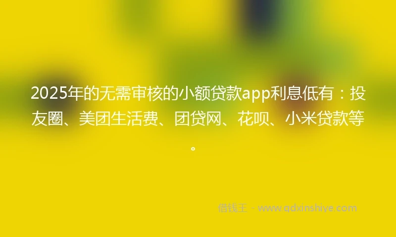 2025年的无需审核的小额贷款app利息低有：投友圈、美团生活费、团贷网、花呗、小米贷款等。