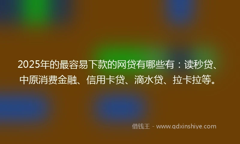 2025年的最容易下款的网贷有哪些有：读秒贷、中原消费金融、信用卡贷、滴水贷、拉卡拉等。