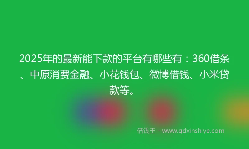 2025年的最新能下款的平台有哪些有:360借条、中原消费金融、小花钱包、微博借钱、小米贷款等。